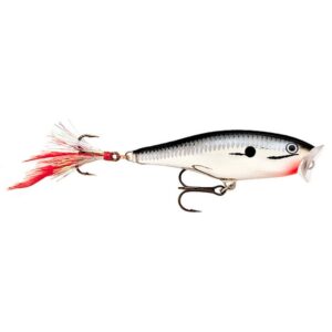 SKITTER POP SUPERFICIE 7CM CH